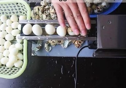 maquina de huevos