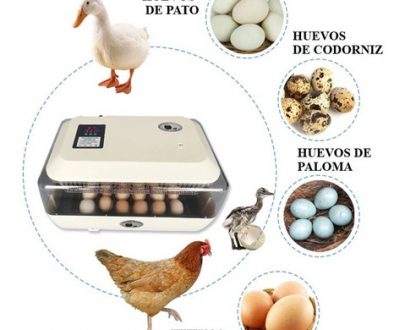 Incubadora 24 huevos 