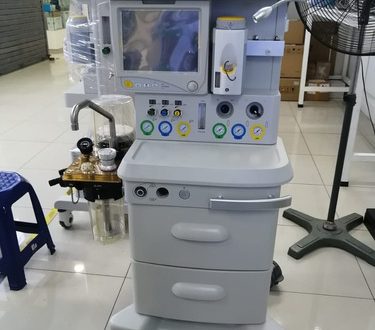LABTECBIO ETERNITY AM811