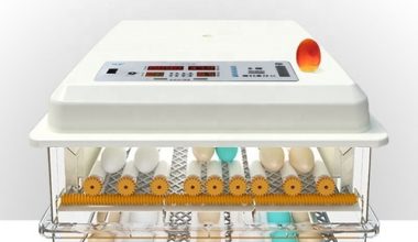 JERS 64 Huevos 1