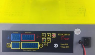 incubadora de 112 huevos Y 12v