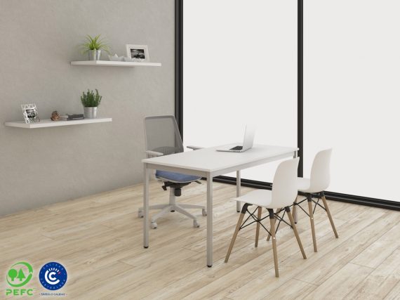 OFFICE SPACE HOMELY 2