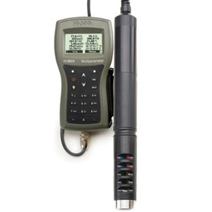 HANNA  HI9829-03101