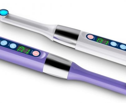 Woodpecker LED I