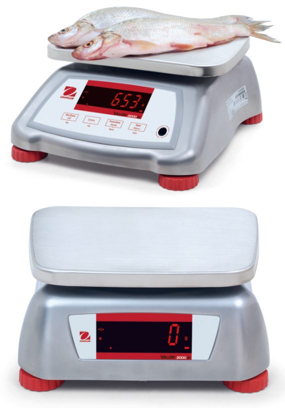 OHAUS V22XWE15T 4