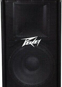 Peavey PV 115