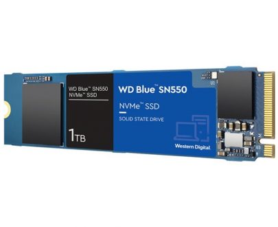 Western Digital WDS100T2B0C