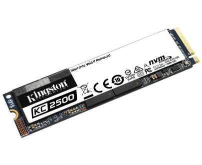Kingston SKC2500M8/500G
