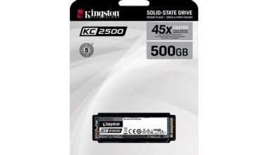 Kingston SKC2500M8/500G