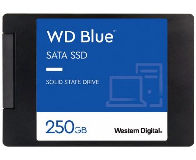 Western Digital WDS250G2B0A