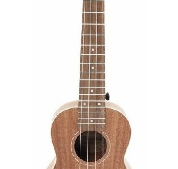 BAMBOO BU21CF