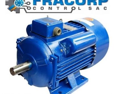 DEREK MOTORS DCU1-90L-2