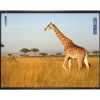 Promethean AB10T88D