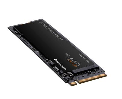 Western Digital WDS500G3X0C