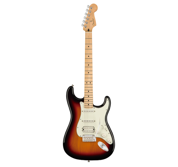 Fender fender