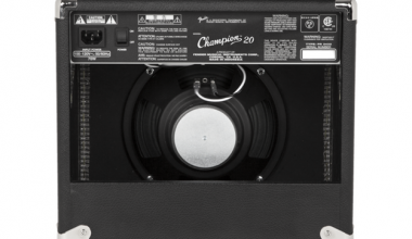 fender Champion 20