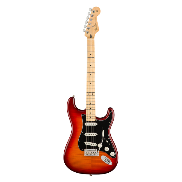 Fender fender