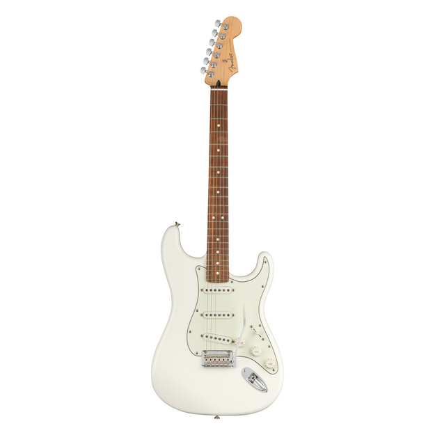 Fender fender