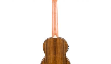 fender fender