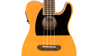 fender fender 1