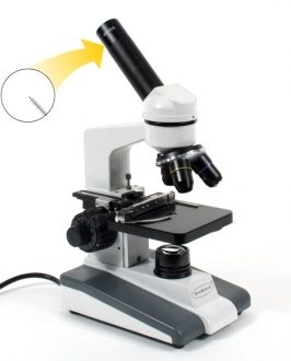 EUROTECH BSK-01