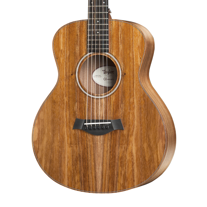 taylor GS Mini-E Koa